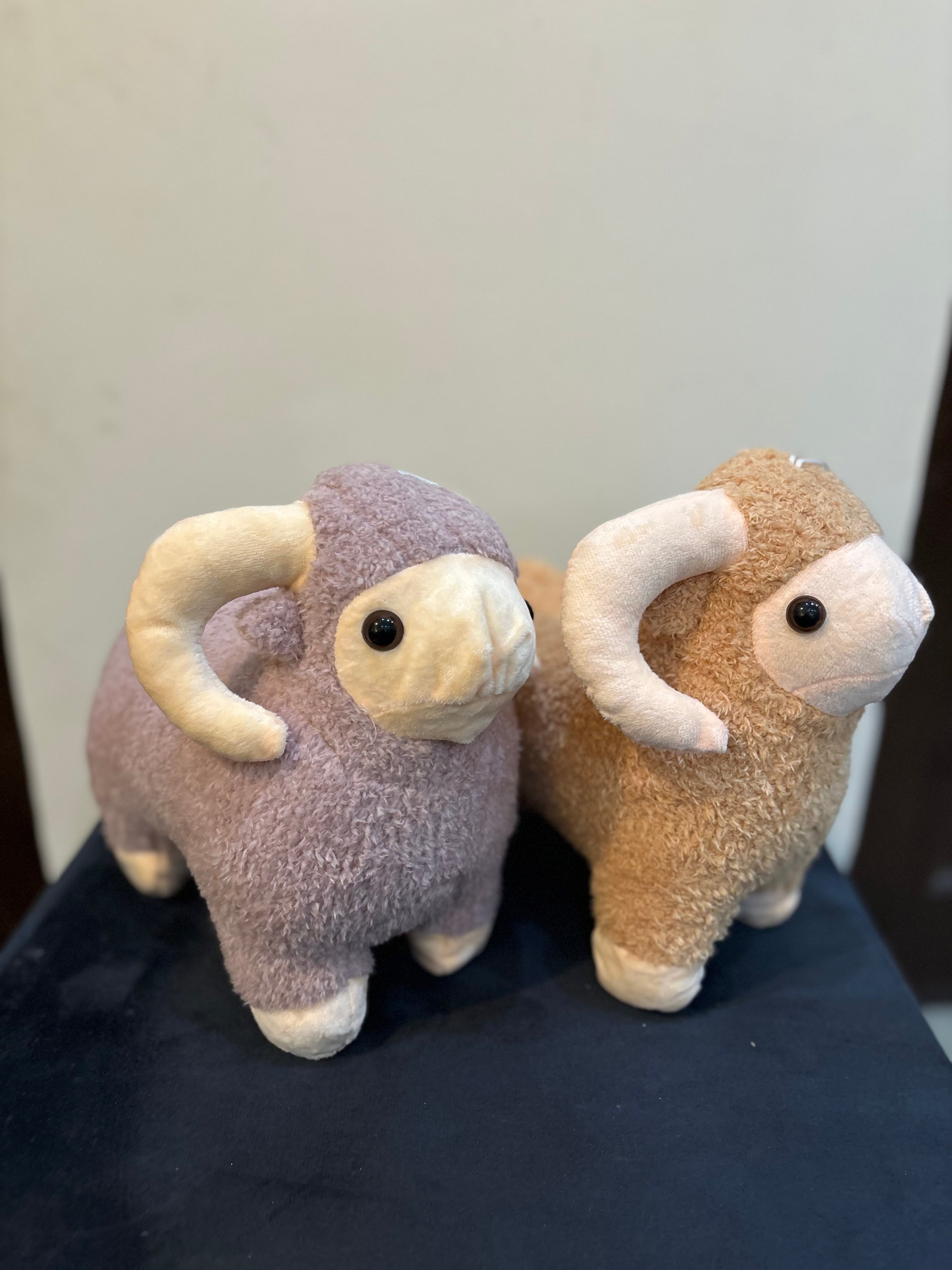 Cutest sheep plushie